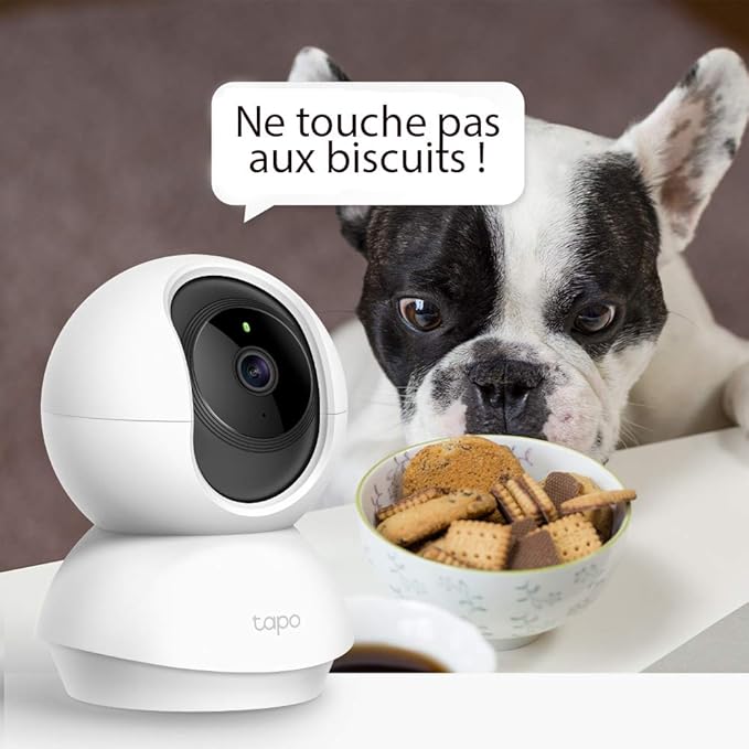 TP-Link Tapo Caméra Surveillance WiFi extérieur 360° 1080p Étanche