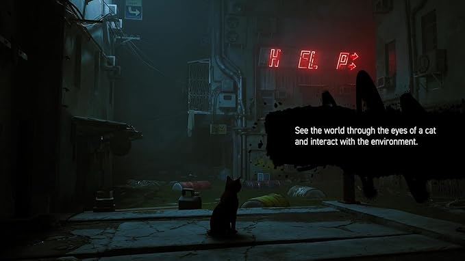 Stray Nintendo Switch