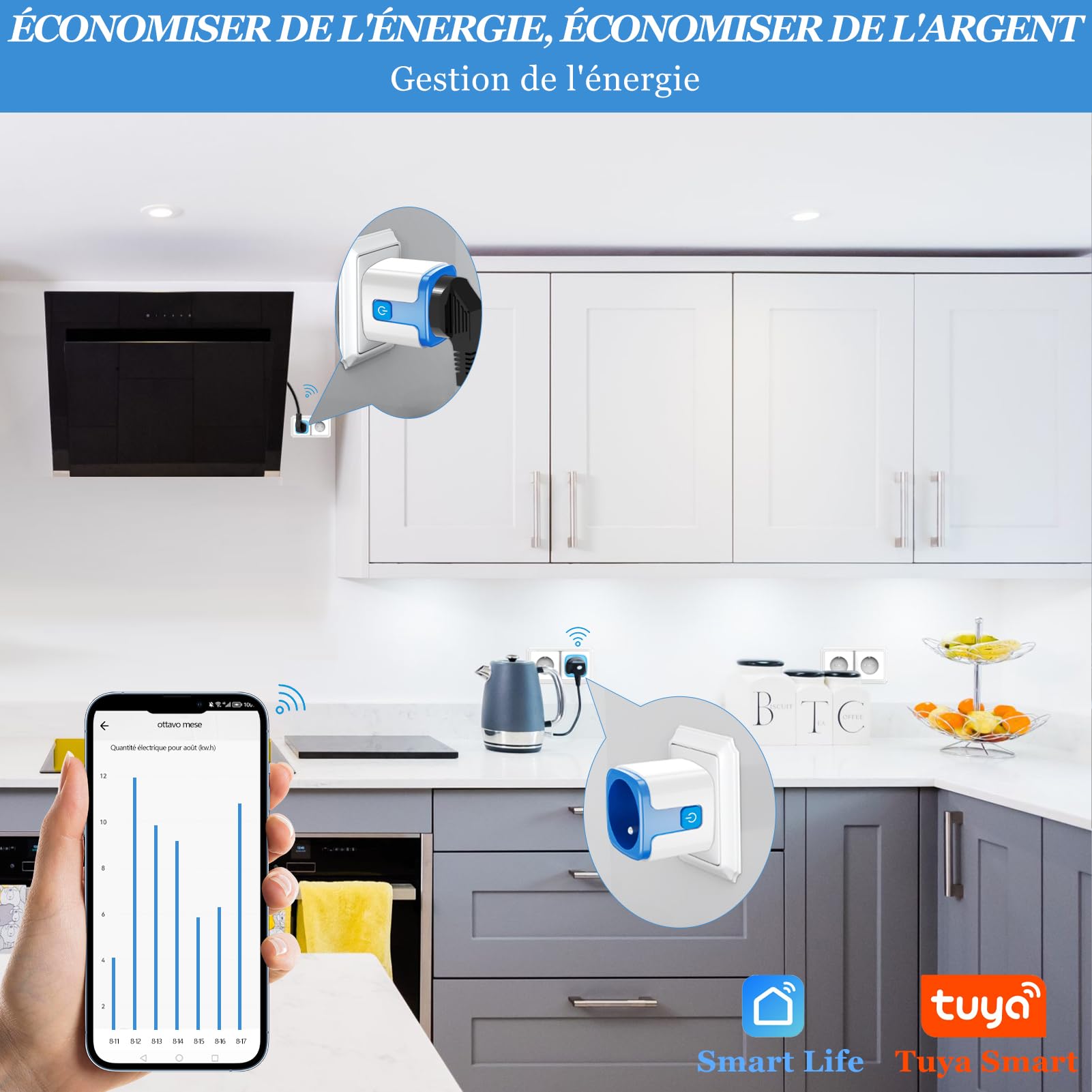 SURFOU Prise Connectée WiFi Intelligente Type E