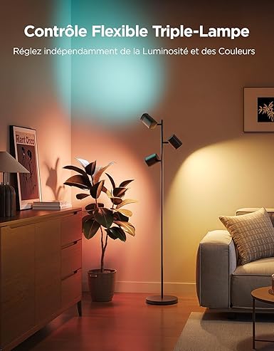 Le Lampadaire sur Pied SwitchBot