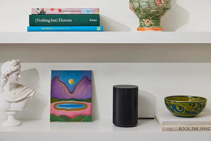 Sonos Era 100, Enceinte connectée avec Wi-Fi, Bluetooth et compatible avec Amazon Alexa - Noir